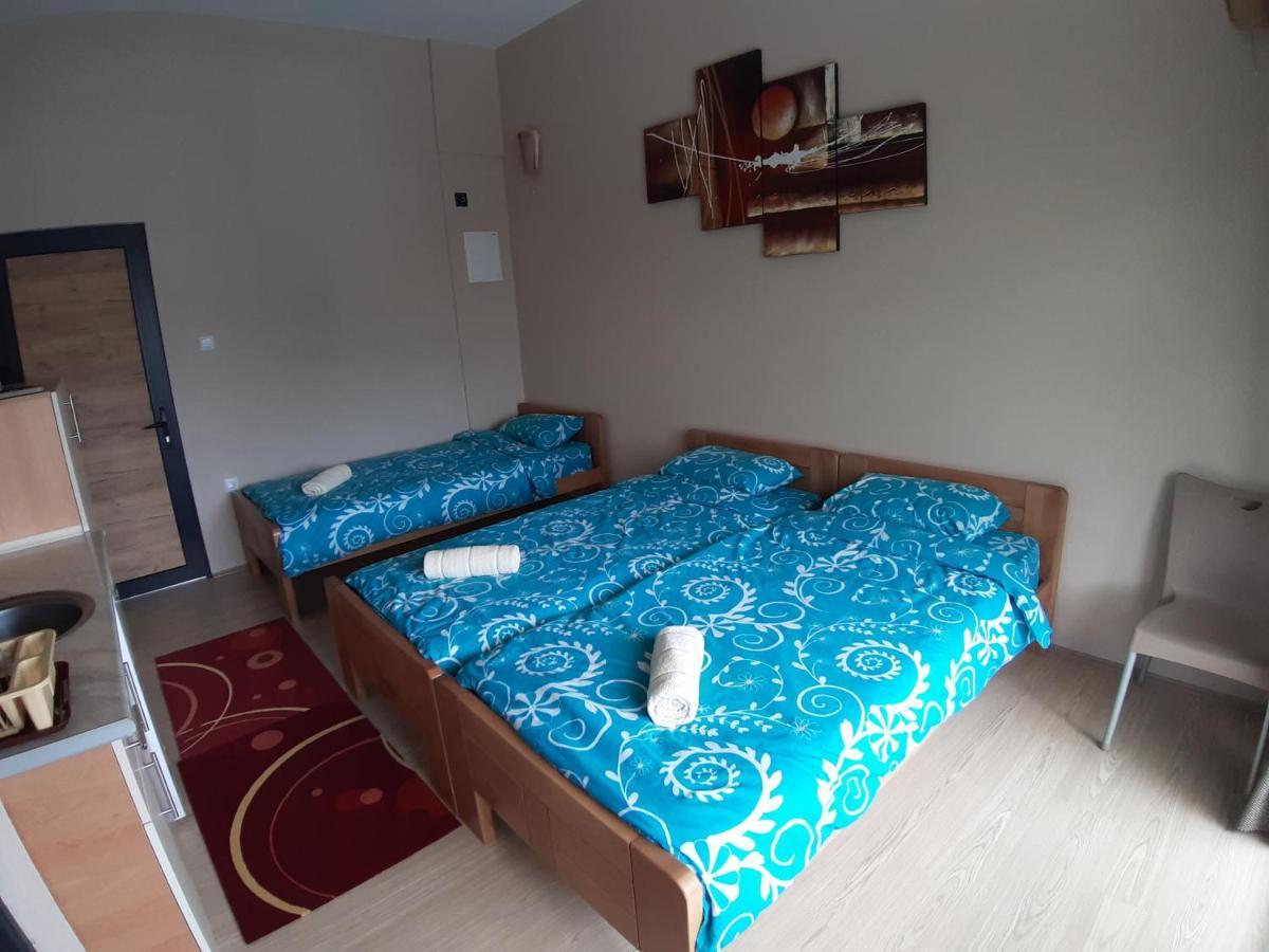Apartment Goka *